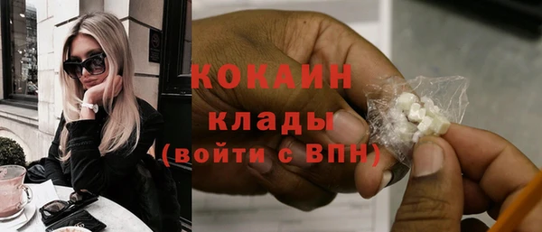 ECSTASY Алзамай