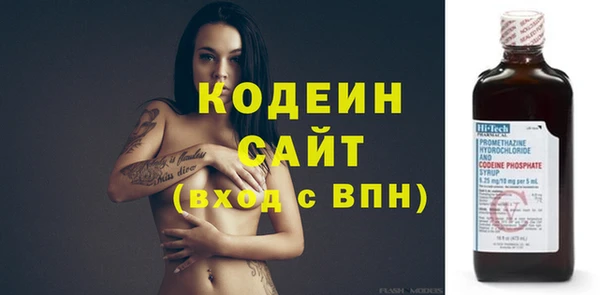 ECSTASY Алзамай