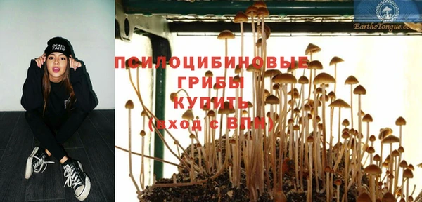 мескалин Новодвинск