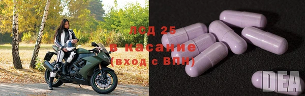 ECSTASY Алзамай