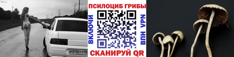 цена   Уфа  Галлюциногенные грибы ЛСД 