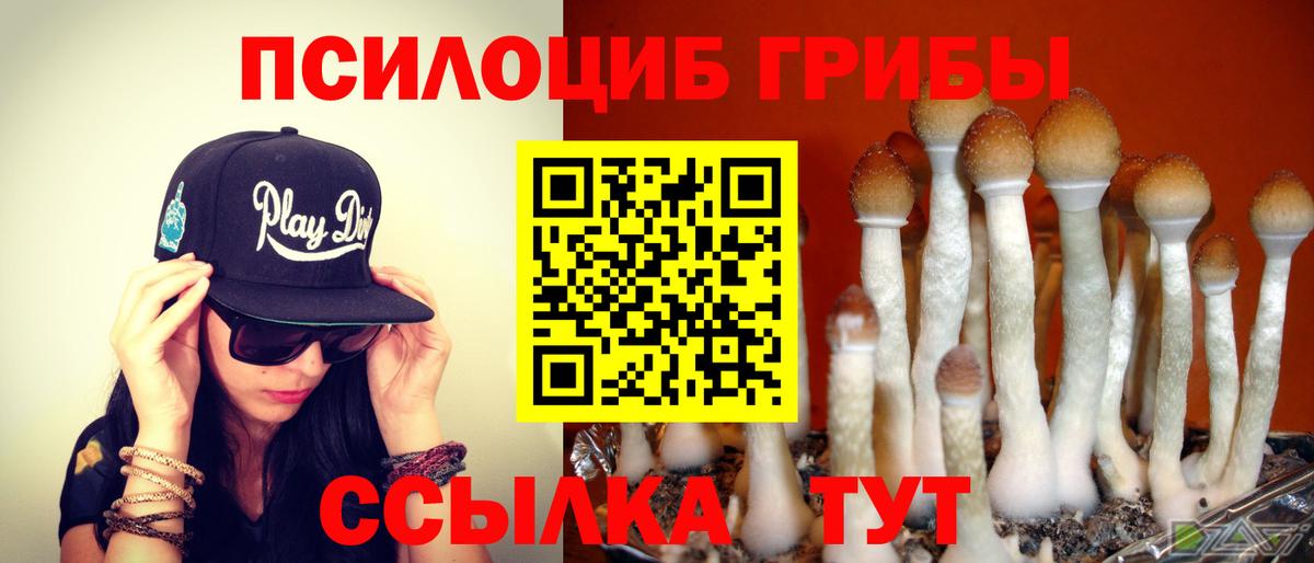 Псилоцибиновые грибы MAGIC MUSHROOMS  Галлюциногенные грибы Cubensis  Уфа  Вход с VPN 